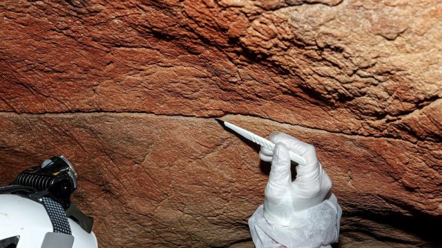 Ancient DNA Unearthed: New Insights into Human History from Cave Walls | cara deposit pkv dengan pul
