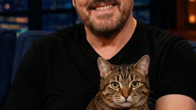 Ricky Gervais' New Show Purrs into the Spotlight for Cat Lovers | togel blue eyes hari ini, leve sgp
