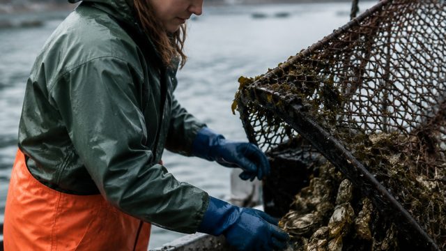 Shellfish Harvesting in Southeast Alaska: A Cautionary Update | naga slot 168, emas poker88, slot ga