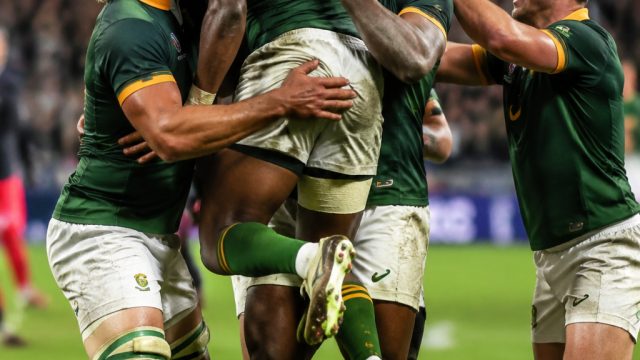 South Africa's Stunning Victory Sets Stage for World Cup Knockout Clash | jelly slot, mediabola78, s
